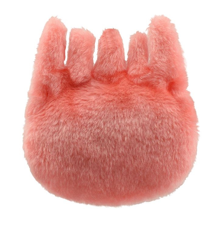 Celiac Disease picture