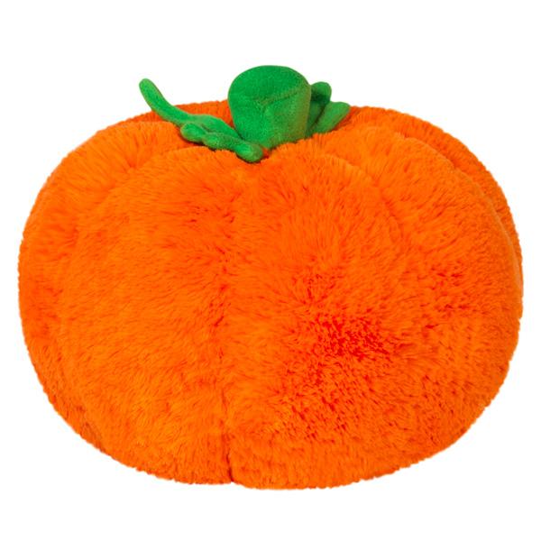 Mini Pumpkin picture