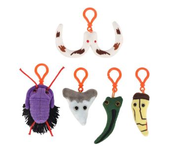 Dinosaur Fossil Gift Box picture