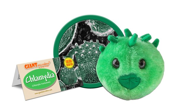 Chlamydia (Chlamydia trachomatis) picture