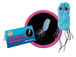 Pseudomonas Aeruginosa