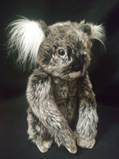 Koala (Kellen) (13") picture