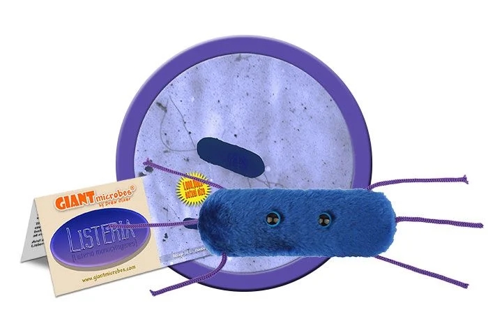 Listeria (Listeria Monocytogenes) picture