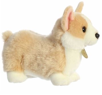 9.5 Pembroke Welsh Corgi Pup picture