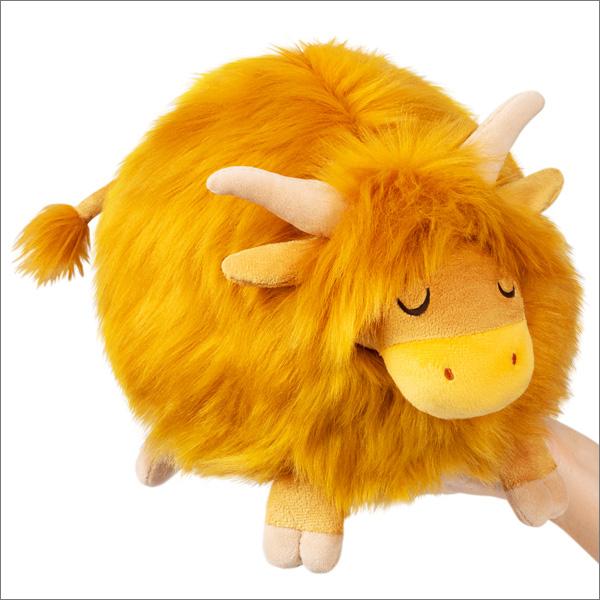7" Cow, Highland