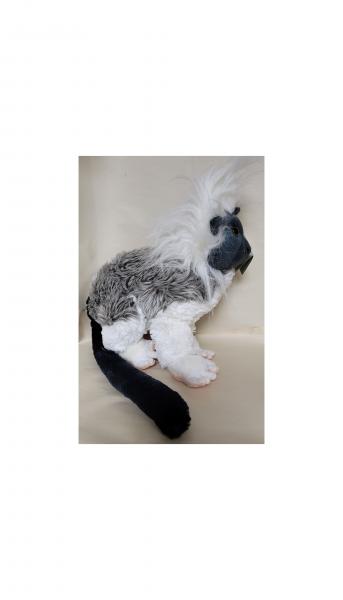 Copy of Cotton Top Tamarin (14") picture