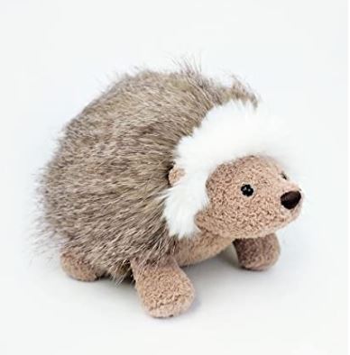 Hedgehog (Oliver)