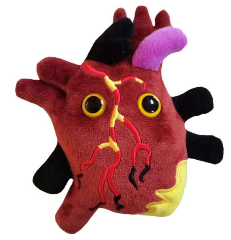 Heart Disease picture