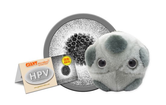 HPV (Human Papillomavirus)