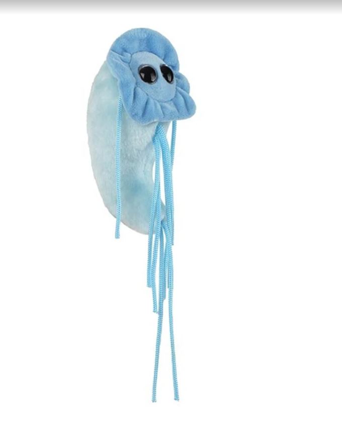 Giardia (Origional) picture