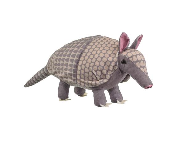 Armadillo picture