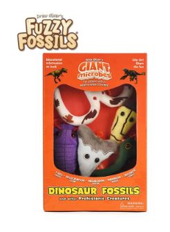 Dinosaur Fossil Gift Box