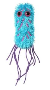 Pseudomonas Aeruginosa picture