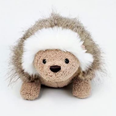 Hedgehog (Oliver) picture