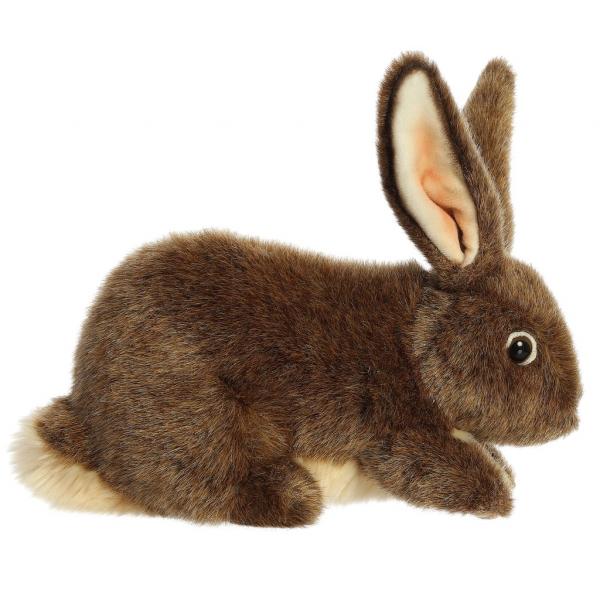Rabbit, Flemish (10") picture