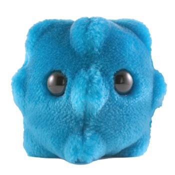 Common Cold (Rhinovirus) picture