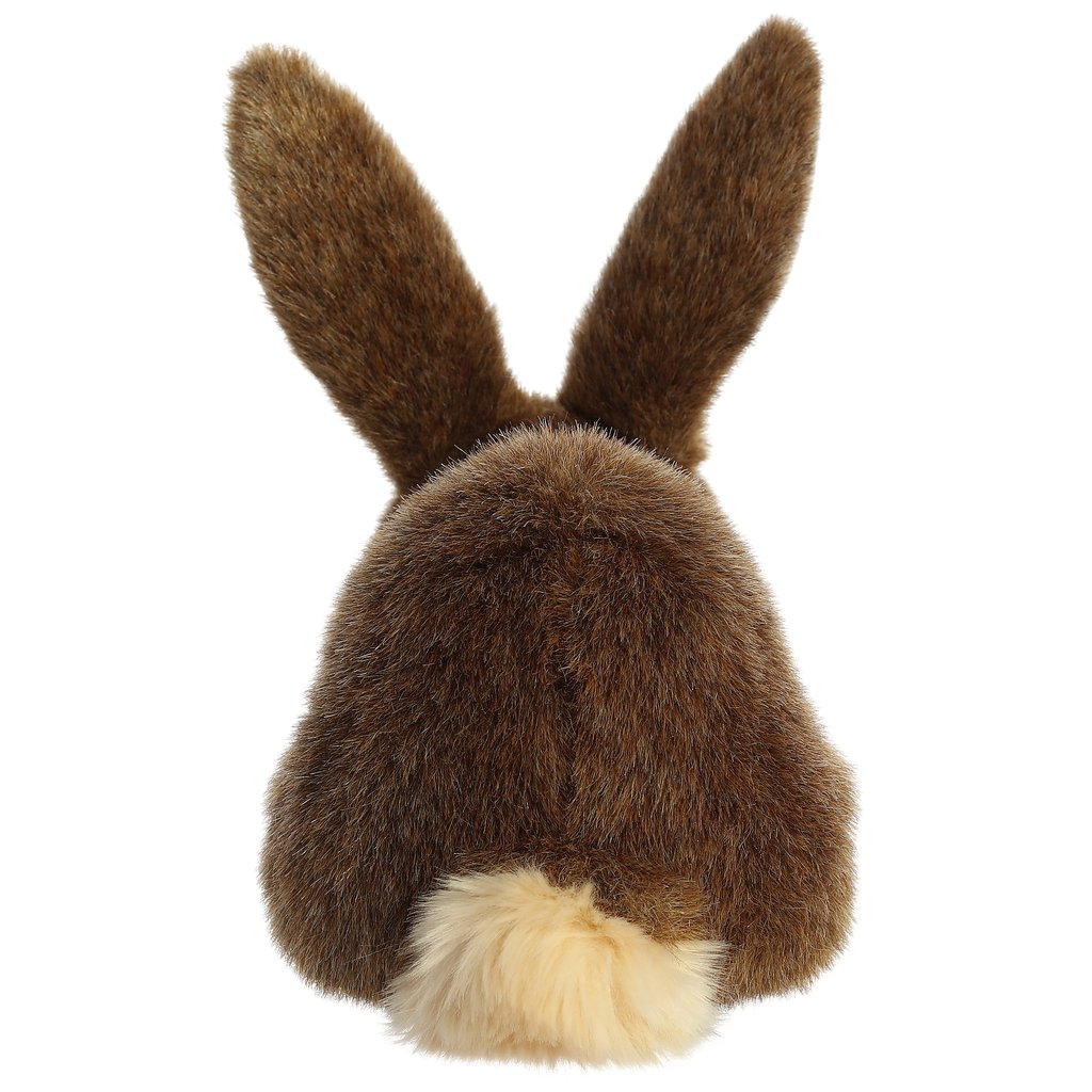 Rabbit, Flemish (10") picture