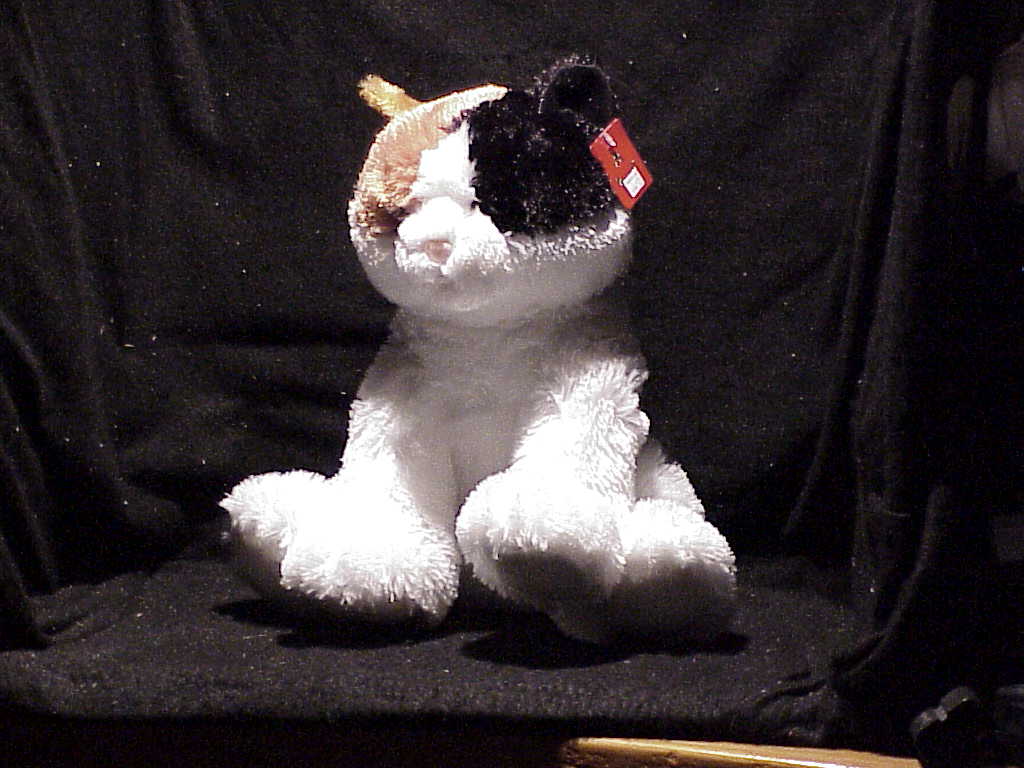 Cat (Esmeralda) (14") picture