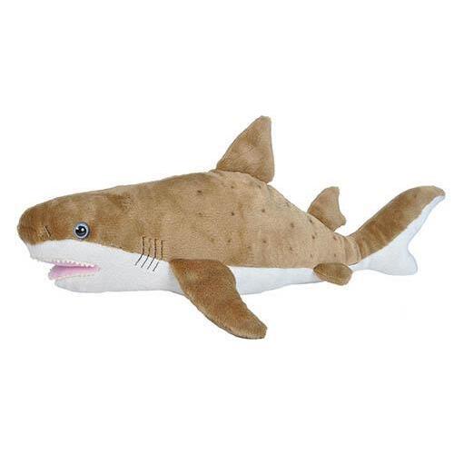 Shark, Sand picture