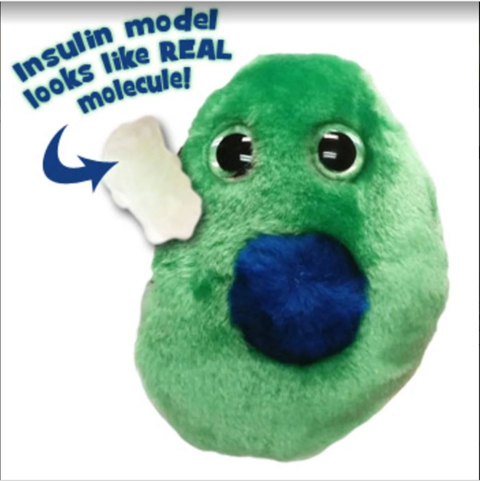 Diabetes (Beta) Cell - Insulin (B Cells) picture