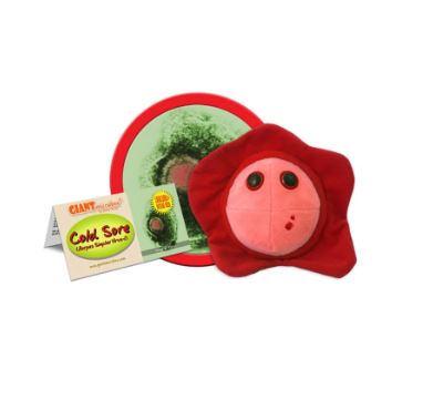 Cold Sore (Herpes simplex virus-1)