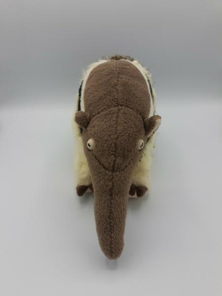 Anteater, Giant (15") picture