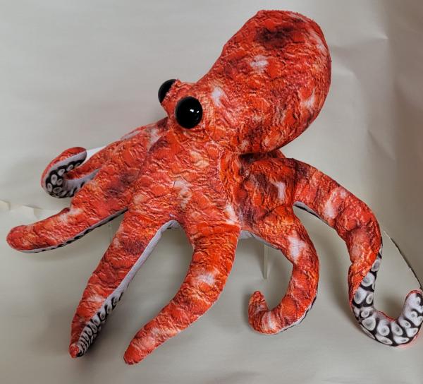 Octopus 13" picture