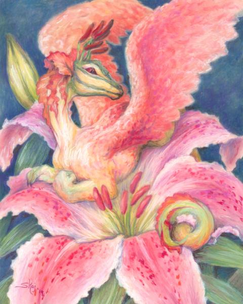 Dracos'lillium picture