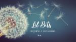 Lil Bits