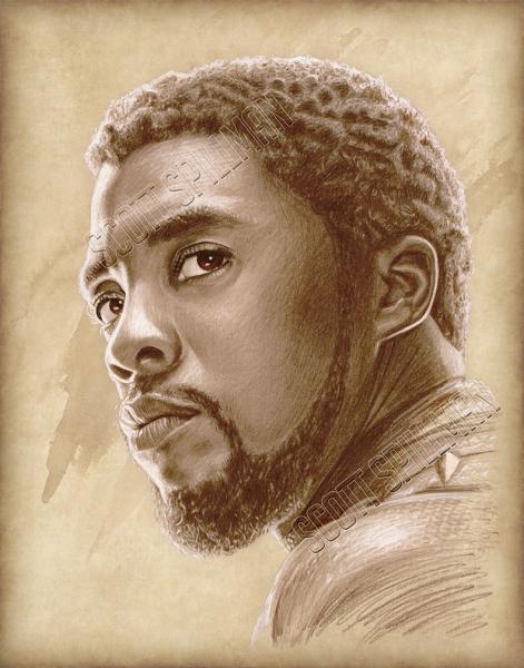 Black Panther picture