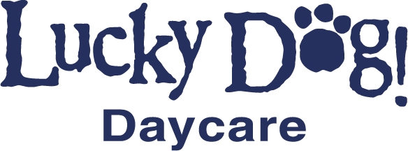 Lucky Dog Daycare, Boarding and Grooming
