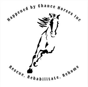 Happened by Chance Horses