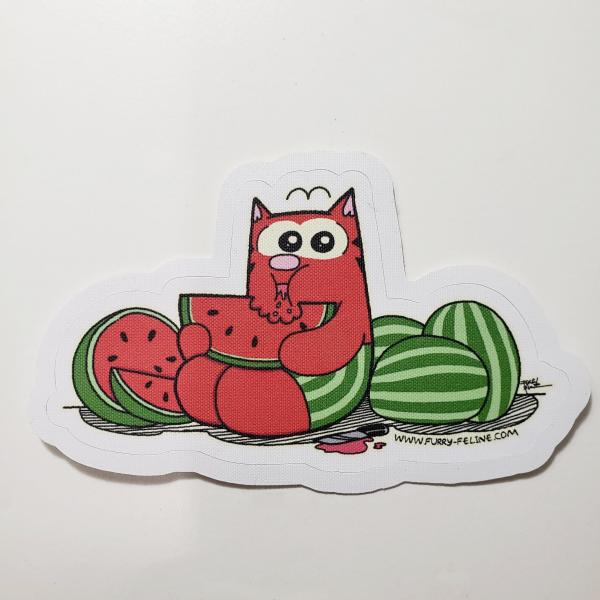 Watermelon Ringo Reusable Sticker
