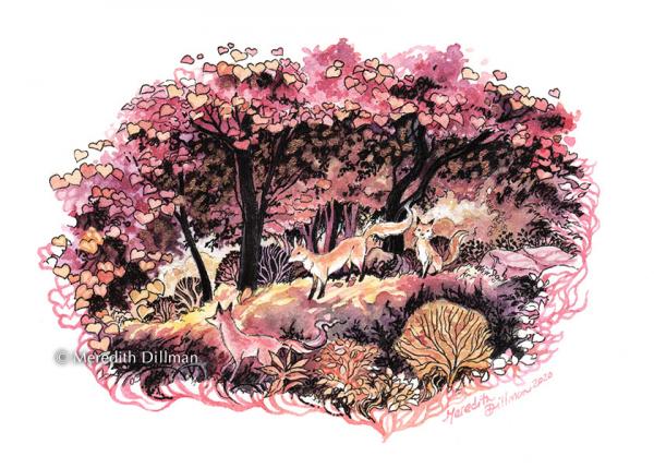 Forest of Foxes 5x7 print picture