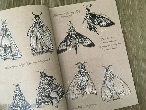 Inkwork: Led by Mothlight book - Fairy and fox ink drawings picture