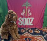 SOOZ