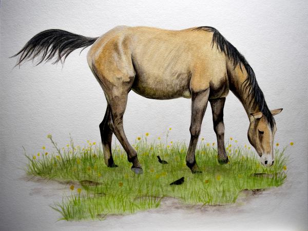 'Springtime Mare' Fine Art Print, 11x17 picture