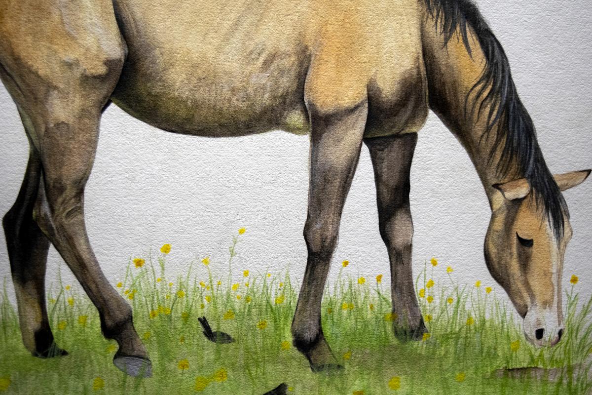 'Springtime Mare' Fine Art Print, 11x17 picture