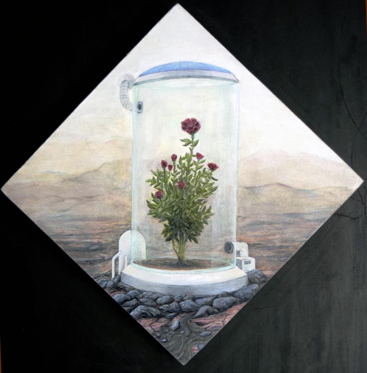 Pushing Paper â„– 9: Elon's Dream picture