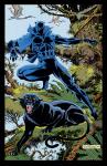 Black Panther-1988 Color