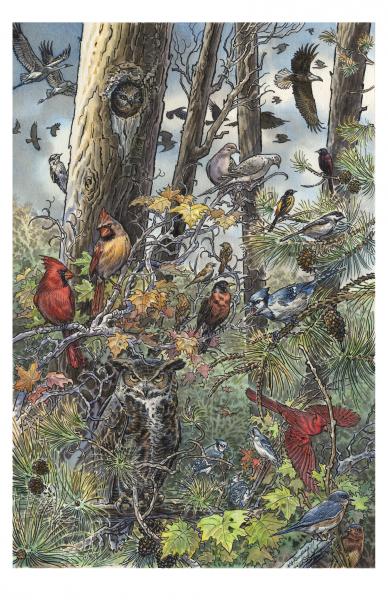 A Symphony of Birds 2017