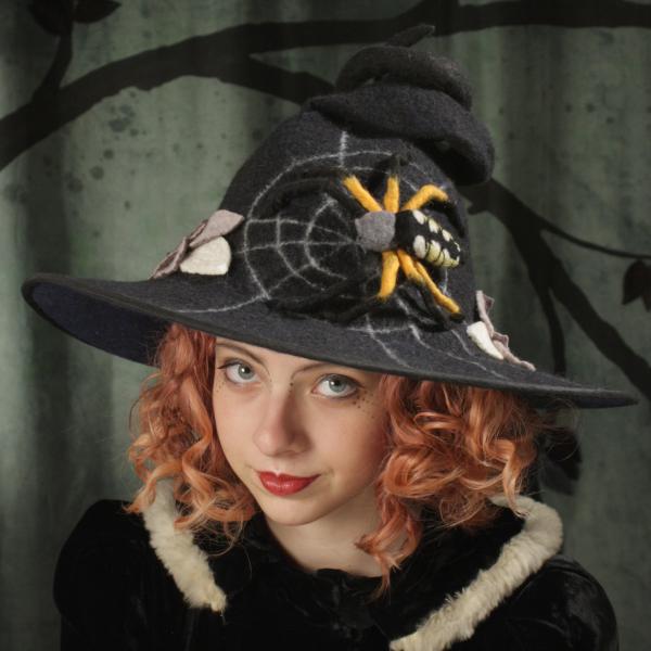 Spider Witch Hat picture