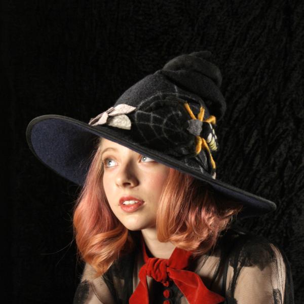 Spider Witch Hat picture