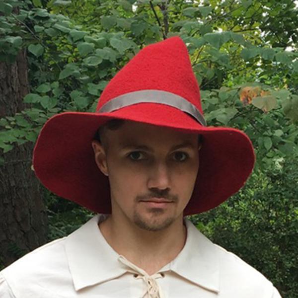 Bard, Simple Witch or Wizard Hat Red picture