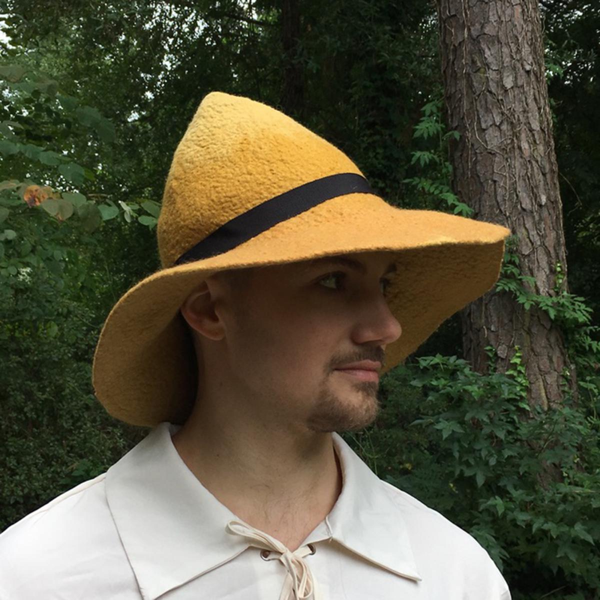 Bard, Simple Witch or Wizard Hat Yellow picture