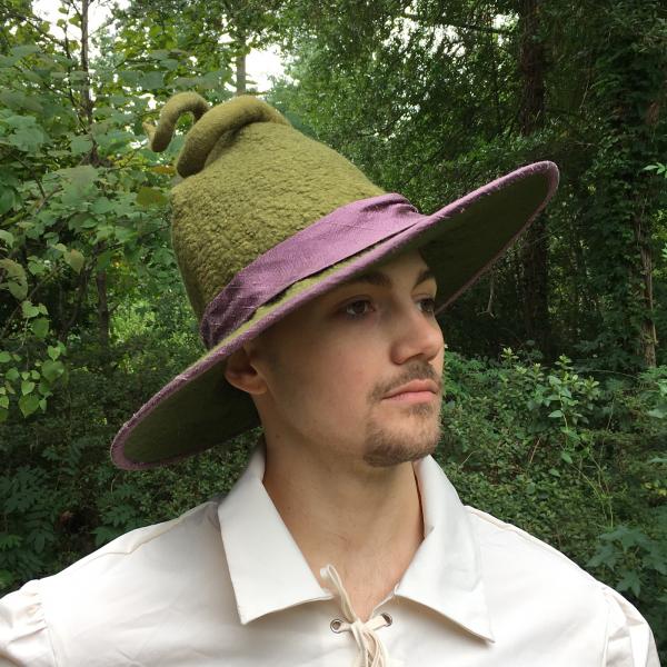 Green Witch or Wizard Hat with Curly Point picture