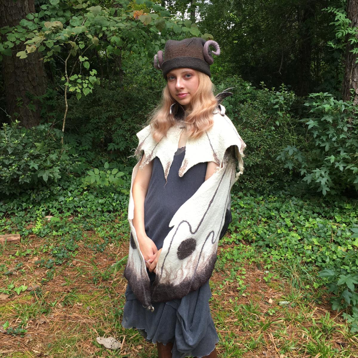 Dragonfly Wings picture