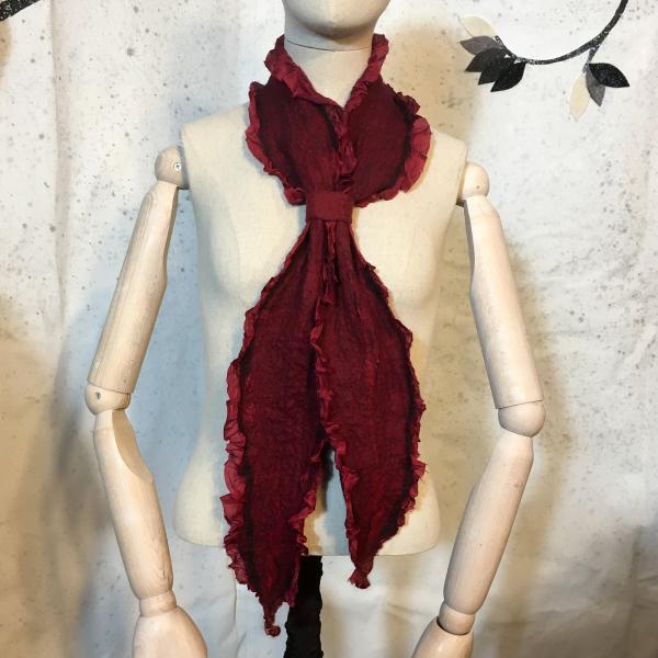 Foliose Scarf picture