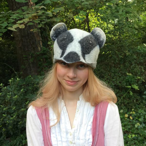 Badger Cap picture