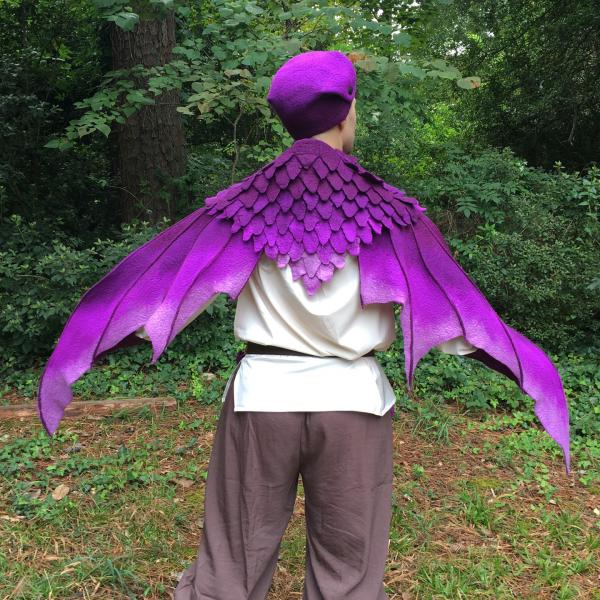 Fairy/Dragon Wings picture